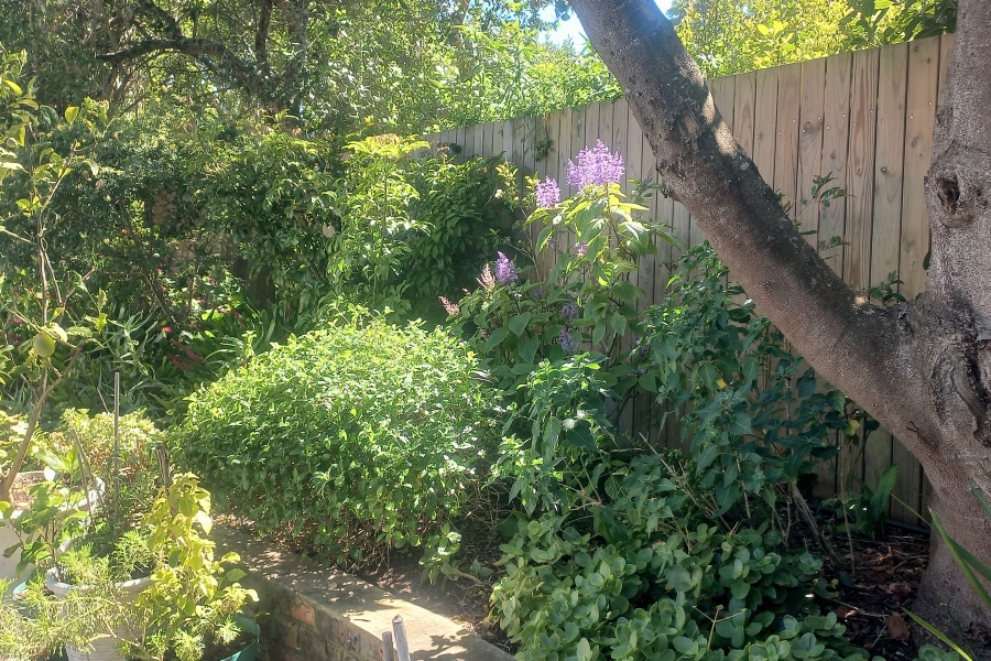 5 Bedroom Property for Sale in Kingfisher Creek Western Cape